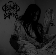 Dismal Suffering - Into The Bleeding Labyrinth CD