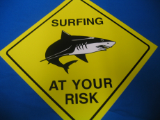 SURFING AT YOUR RISK (Trschild)