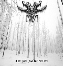 Demonic Forest - Frost Strengh CD